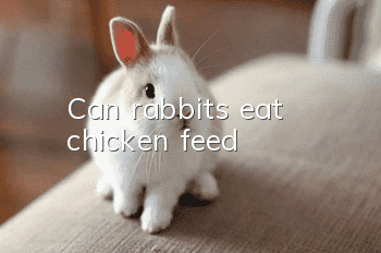 Can rabbits eat chicken feed?