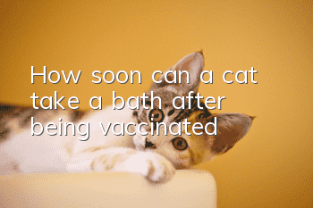 How soon can a cat take a bath after being vaccinated?