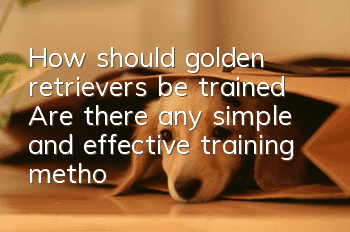 How should golden retrievers be trained? Are there any simple and effective training methods?