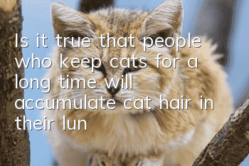 Is it true that people who keep cats for a long time will accumulate cat hair in their lungs?