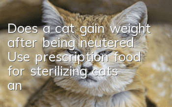Does a cat gain weight after being neutered? Use prescription food for sterilizing cats and teach you how to prevent cats from getting fat!