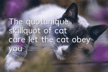 The "unique skill" of cat care, let the cat obey you!