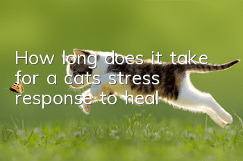 How long does it take for a cat’s stress response to heal?