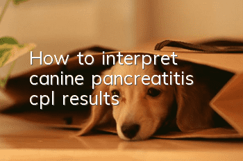 How to interpret canine pancreatitis cpl results