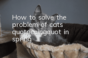 How to solve the problem of cats "peeing" in spring