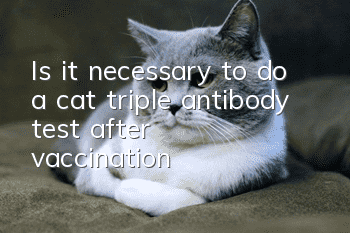 Is it necessary to do a cat triple antibody test after vaccination?