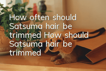 How often should Satsuma hair be trimmed? How should Satsuma hair be trimmed?