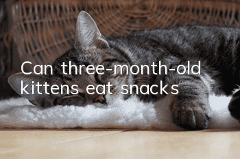 Can three-month-old kittens eat snacks?