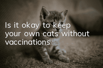 Is it okay to keep your own cats without vaccinations?