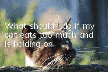 What should I do if my cat eats too much and is holding on?