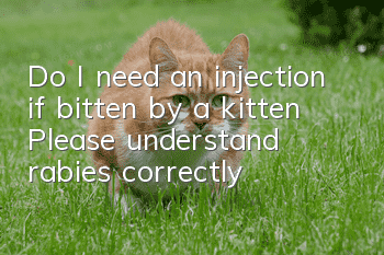 Do I need an injection if bitten by a kitten? Please understand rabies correctly