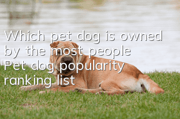 Which pet dog is owned by the most people? Pet dog popularity ranking list!