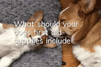 What should your dog’s first aid supplies include?