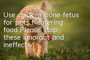Use chicken bone fetus for pets? Neutering food? Please stop these ignorant and ineffective sterilization methods!