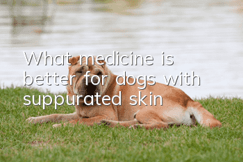 What medicine is better for dogs with suppurated skin?