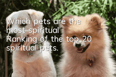 Which pets are the most spiritual? Ranking of the top 20 spiritual pets.
