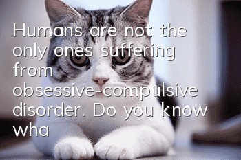 Humans are not the only ones suffering from obsessive-compulsive disorder. Do you know what the symptoms are when pets suffer from obsessive-compulsive disorder?