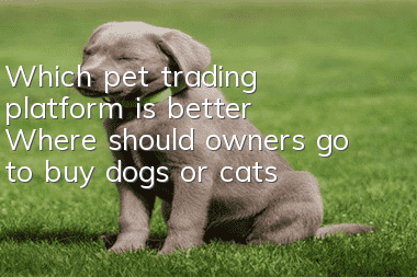 Which pet trading platform is better? Where should owners go to buy dogs or cats?