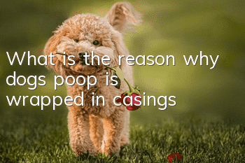 What is the reason why dogs’ poop is wrapped in casings?