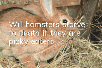 Will hamsters starve to death if they are picky eaters?