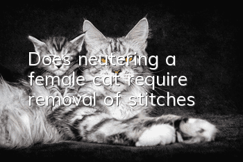 Does neutering a female cat require removal of stitches?