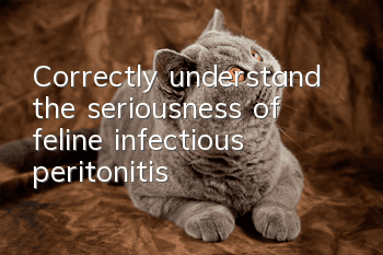 Correctly understand the seriousness of feline infectious peritonitis