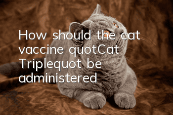 How should the cat vaccine "Cat Triple" be administered?