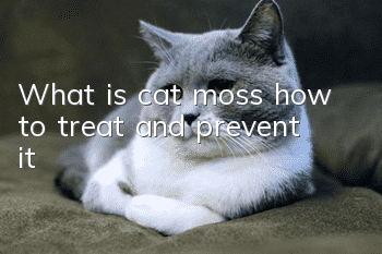 What is cat moss, how to treat and prevent it