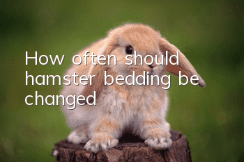 How often should hamster bedding be changed?