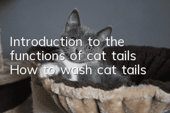 Introduction to the functions of cat tails How to wash cat tails