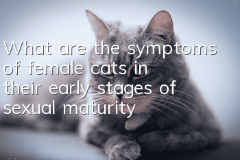 What are the symptoms of female cats in their early stages of sexual maturity?