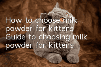 How to choose milk powder for kittens? Guide to choosing milk powder for kittens