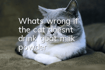 What's wrong if the cat doesn't drink goat milk powder?