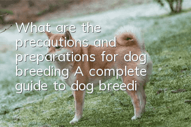 What are the precautions and preparations for dog breeding? A complete guide to dog breeding!