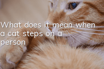 What does it mean when a cat steps on a person?
