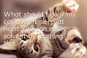 What should I do if my cat doesn’t sleep at night? You can easily solve it by learning this trick!