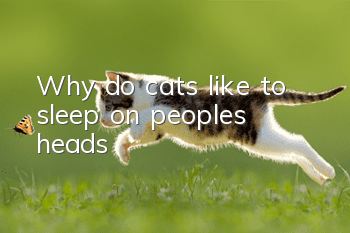 Why do cats like to sleep on people’s heads?