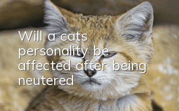 Will a cat's personality be affected after being neutered?