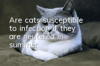 Are cats susceptible to infection if they are neutered in summer?