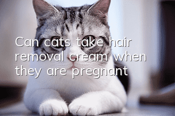 Can cats take hair removal cream when they are pregnant?