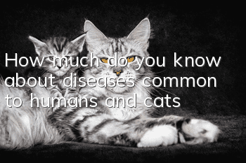 How much do you know about diseases common to humans and cats?