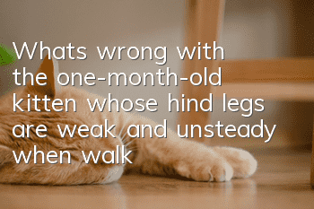 What's wrong with the one-month-old kitten whose hind legs are weak and unsteady when walking?