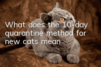 What does the 10-day quarantine method for new cats mean?