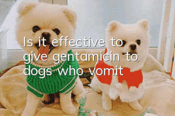 Is it effective to give gentamicin to dogs who vomit?