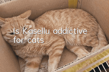 Is Kasellu addictive for cats?