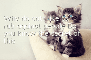 Why do cats like to rub against people? Do you know the secret of this?