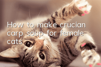 How to make crucian carp soup for female cats?