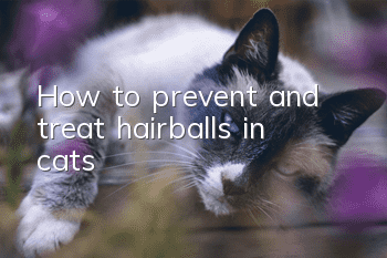How to prevent and treat hairballs in cats