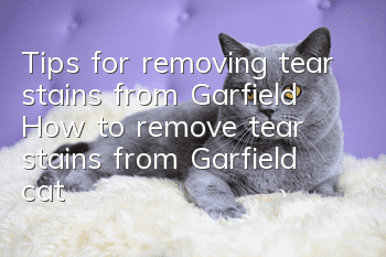 Tips for removing tear stains from Garfield? How to remove tear stains from Garfield cat?