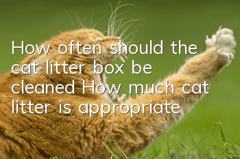 How often should the cat litter box be cleaned? How much cat litter is appropriate?